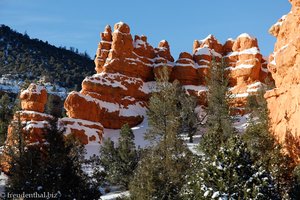 Felsen beim Red Canyon