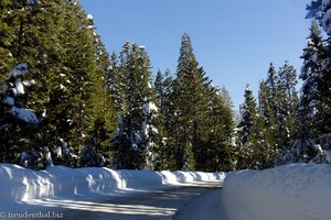 vereiste Straße im Kings Canyon Nationalpark