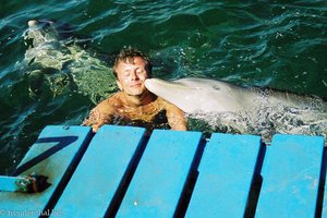 Lars und die knutschenden Delfine