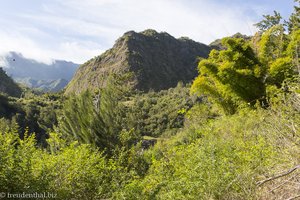 in den Bergen im Cirque de Salazie