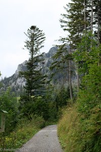 auf dem Wanderweg von Durschlegi nach Hintermatt