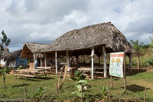 das Guarapiron Bruchetas im Tal von Viñales