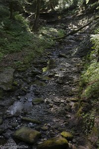 Der Rothenbach bei Scheffau