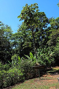 Zona de descansa - Ruhezone im Aguti Reserve