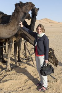 Anne bei den schwarzen Kamelen der Jebali-Hirten im Oman