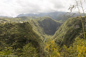 Blick in die Schlucht des Bras de la Plaine