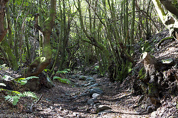 Wanderweg zur Calera de Agua