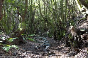 Wanderweg zur Calera de Agua