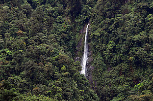 Quebrada Salto im Tapanti Nationalpark