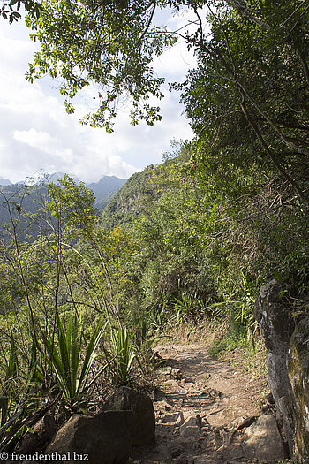 Sentier Dassy zum Bras de la Plaine