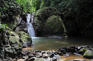 Die Cascada de Ojochal