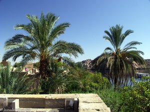 Ausblick vom Tempel von Philae