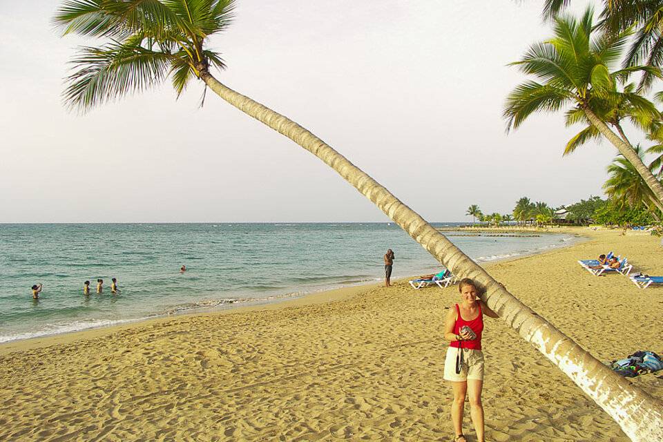 Palme am Strand der Costa Dorada, Puerto Plata