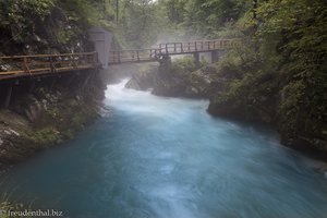 Nebelschwaden in der Vintgar Klamm