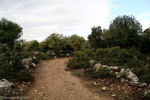 Wanderweg über die Giara