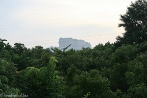 Blick vom Balkon zum Löwenfelsen Sigiriya