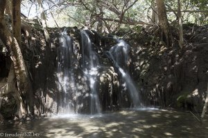 Wasserfall beim Ayn Tabrook im Oman