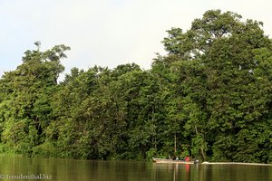 Kinabatangan River