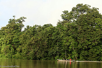 Kinabatangan River