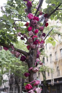 Häkelblumen am Baum im Greenwich Village