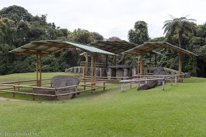 Grabanlagen im Archaeological Park von San Agustin