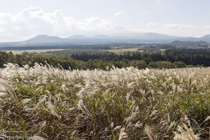 Blick zum Mount Halla