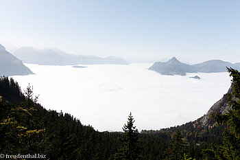 Blick von Holzegg über das Nebelmeer zur Rigi, Pilatus und weiteren Bergen