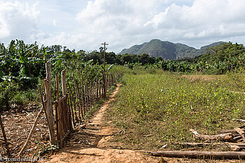 Reitausflug durch die Felder von Viñales