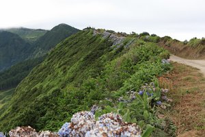 Kraterrand oberhalb Sete Cidades