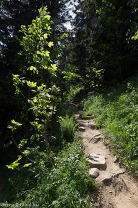 Wanderweg zwischen Grünten und der Oberen Schwandalpe