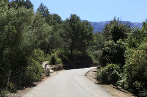 Straße nach Cala de Deià