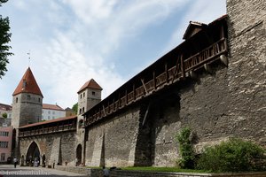 Stadtmauer aus der Hansezeit von Tallinn