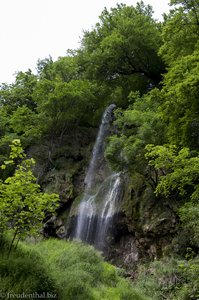 Blick auf den Uracher Wasserfall