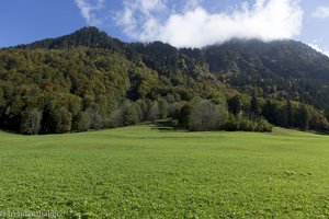 Grüne Landschaft entlang der Trettach