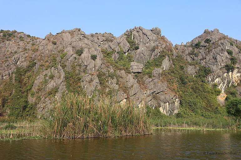 Karstberge erheben sich über dem ruhigen Wasser des Feuchtgebiets Van Long