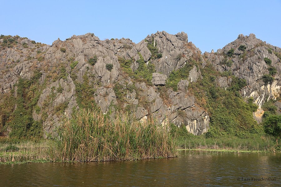 Karstberge erheben sich über dem ruhigen Wasser des Feuchtgebiets Van Long