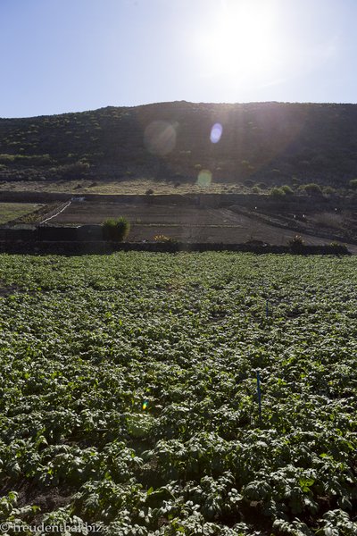 Guinate Höhenweg am Rand der Klippen