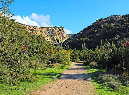 Wanderung Avakas Schlucht