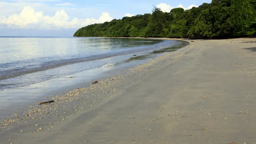 Strand Survivor Island Pulau Tiga