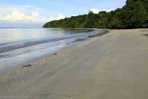 Strand Survivor Island Pulau Tiga