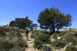 Cami Cell de s’Arxiduc