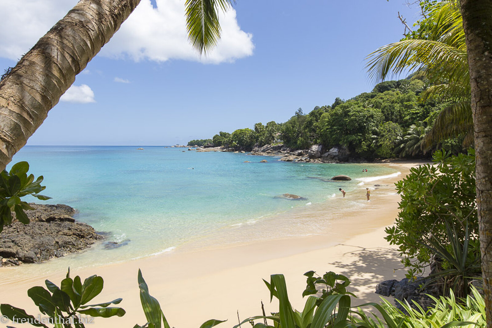 Blick von der Terrasse über den von Palmen gesäumten Sunset Beach auf Mahé, Seychellen