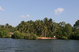 Ufer am Koggala-See