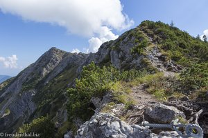 Blick über den Iselergrat