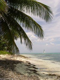 Strandspaziergang auf der Isla Saona