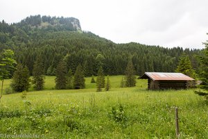 Landschaft oberhalb von Tiefenbach