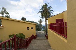 Bunte Häuser und Dattelpalmen - San Andrés