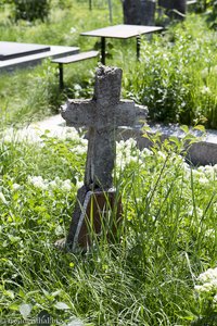 Grab auf dem Zentralfriedhof