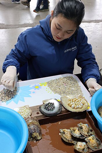 Arbeiterin beim Sortieren der Perlen bei Legend Pearl in Halong-Stadt, Vietnam