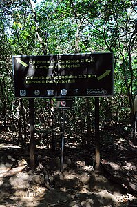 Hier trennen sich die Wege zur Catarata Cangrejo oder Escondida